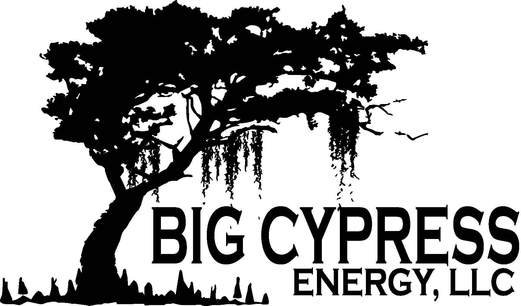 http://www.bigcypressenergy.com/