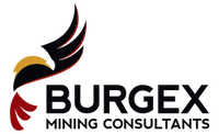 burgex_logo.png