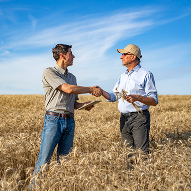 0 - New AMS - What is a Landman - Grid Gallery Thumbnail - 2171347530 - resized.png