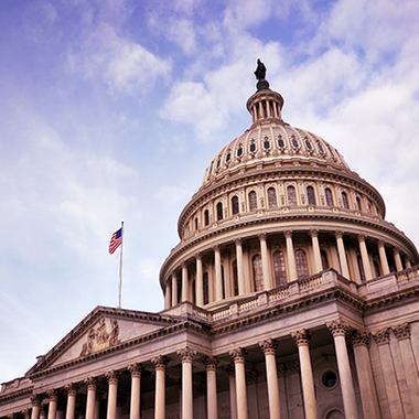 0 - New AMS - Gov. Affairs - Grid Gallery Thumbnail - 2024343351.png